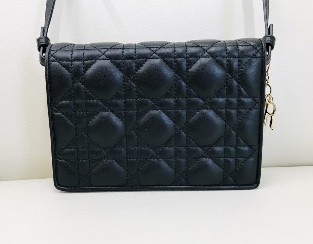 Dior bug